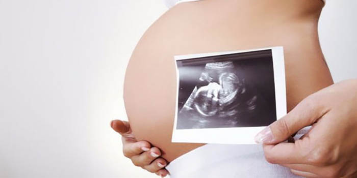 Hamilelikte 37. Hafta Fetal Gelişimi