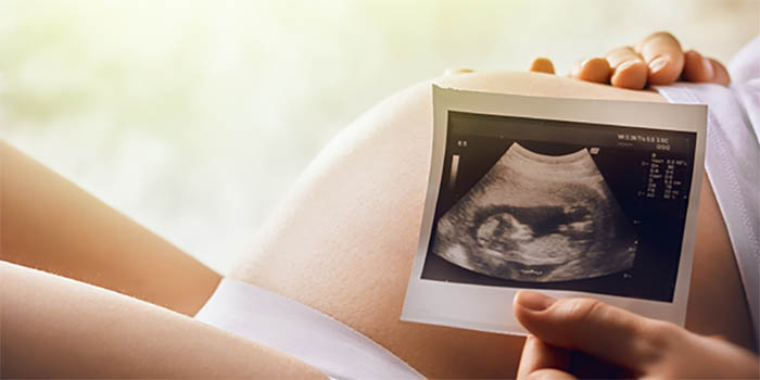 Hamilelikte 36. Hafta Fetal Gelişimi