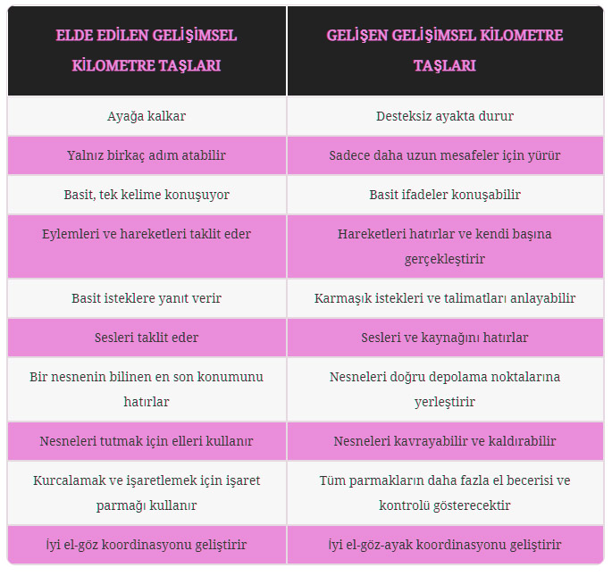 12 Aylık Bebek Gelişimi