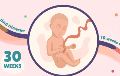 Erken Doğan 30 Haftalık Bebek Sağlığı Gelişimi ve Olası Sorunlar