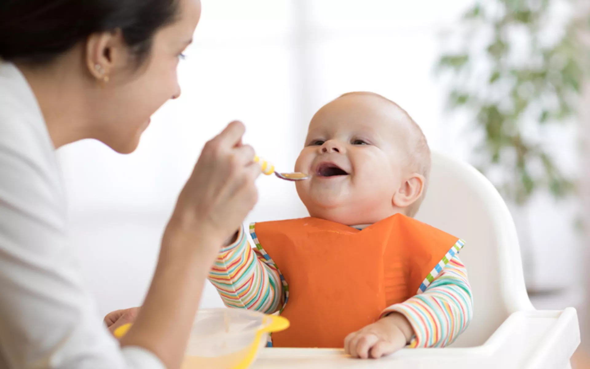  Bebek Maması mı Tam yağlı süt mü? Hangisi Neden Kullanılmalı?