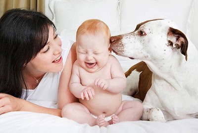 Bebekler ve Evcil Hayvanların Birlikte Büyümesi