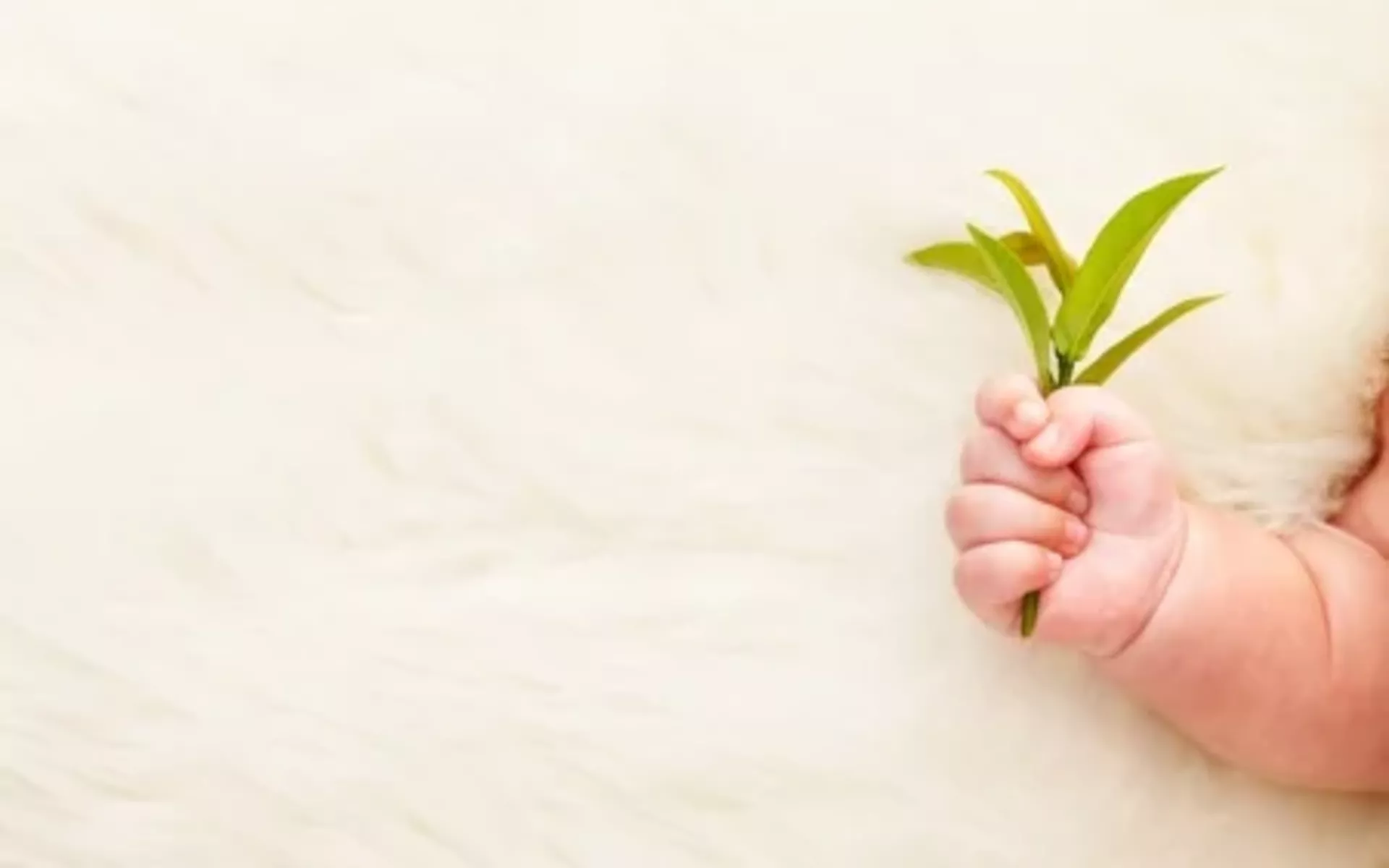 Zehirli Ev Bitkileri ile Bebeğiniz Risk Altında Olabilir!